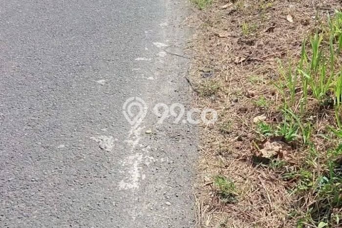 Dijual Tanah 1300m2 di Pererenan, Badung Dijual Tanah 1300m2 di Pererenan, Badung