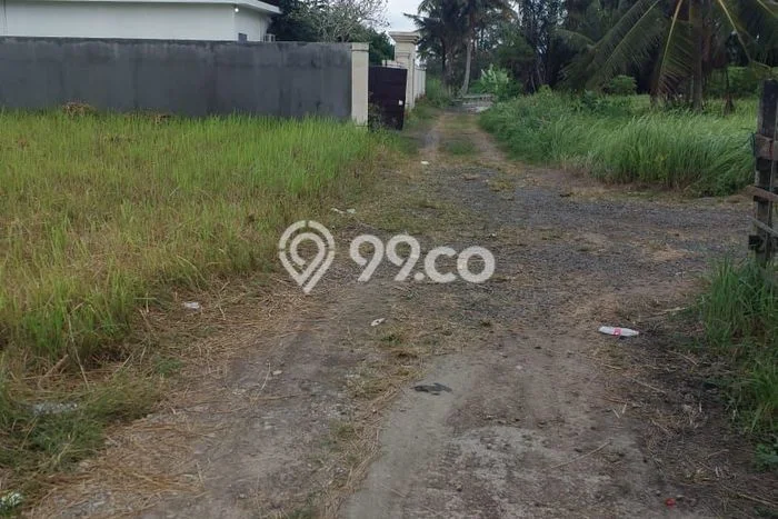 Tanah Investasi Dijual di Gianyar Punya Luas 500m2 Tanah Investasi Dijual di Gianyar Punya Luas 500m2