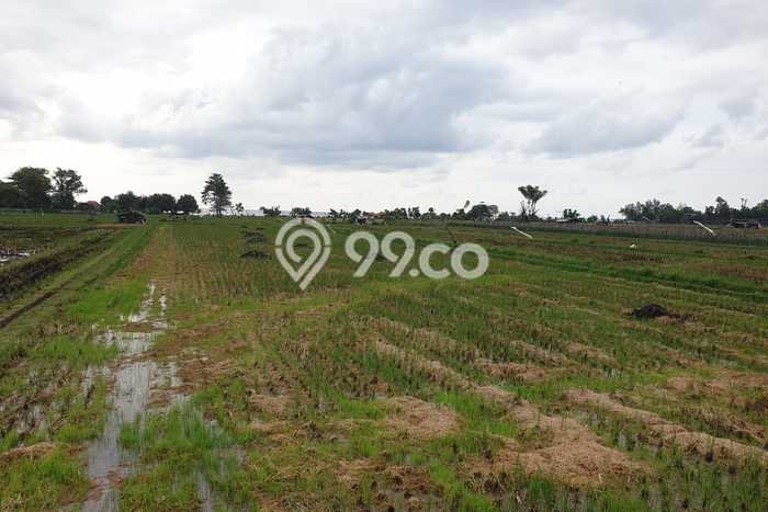 Untuk Dijual Tanah 45m2 di Singaraja, Buleleng Untuk Dijual Tanah 45m2 di Singaraja, Buleleng