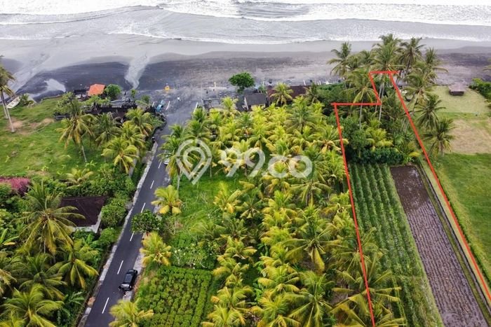 Tanah Siap Bangun Dijual di Tabanan Punya Luas 3000m2 Tanah Siap Bangun Dijual di Tabanan Punya Luas 3000m2