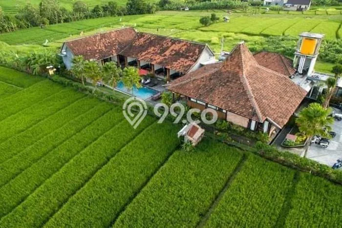 Cocok Untuk Investasi! Dijual Kost di Canggu 8 Kamar Cocok Untuk Investasi! Dijual Kost di Canggu 8 Kamar