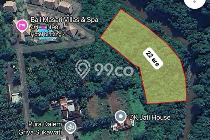 Tanah Kosong Dijual di Gianyar dengan Area 2200m2 Tanah Kosong Dijual di Gianyar dengan Area 2200m2
