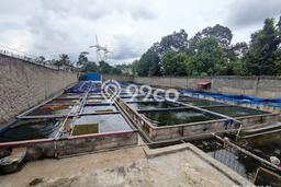 Tanah Area Berkembang Kawasan Ciseeng, Luas 800m2m², Ideal untuk Usaha Tanah Area Berkembang Kawasan Ciseeng, Luas 800m2m², Ideal untuk Usaha