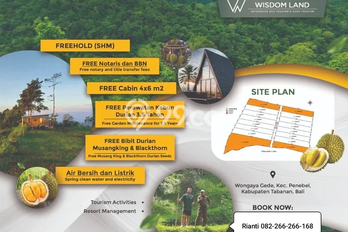 Lahan Dijual Lokasi Penebel, Tabanan dengan Luas Tanah 1000m2 dan Status SHM Lahan Dijual Lokasi Penebel, Tabanan dengan Luas Tanah 1000m2 dan Status SHM