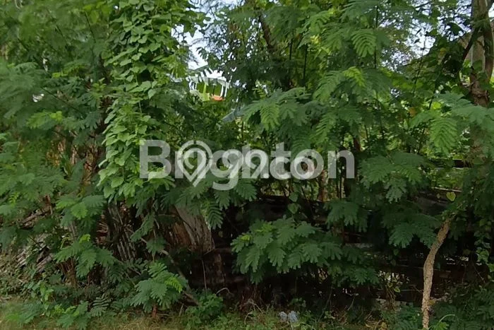 Tanah Disewa Strategis di Denpasar Luas 400m2 Tanah Disewa Strategis di Denpasar Luas 400m2