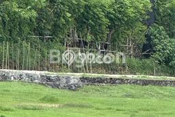 Tanah Dijual Lokasi Strategis di Gianyar dengan Luas 890m2 Tanah Dijual Lokasi Strategis di Gianyar dengan Luas 890m2