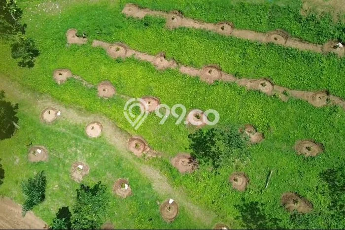 Jarang Ada! Tanah di Penebel Punya Luas 1000m2 SHM Jarang Ada! Tanah di Penebel Punya Luas 1000m2 SHM