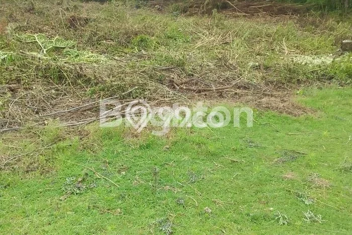 Dijual Tanah di Badung, Luas 467m2 SHM Dijual Tanah di Badung, Luas 467m2 SHM