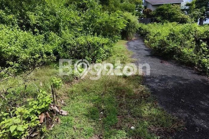 Dijual Tanah di Badung, Luas 467m2 SHM Dijual Tanah di Badung, Luas 467m2 SHM