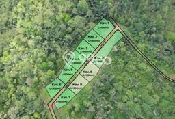 Tanah untuk Dijual Lokasi Tabanan, Tabanan Luas 500m2 SHM Tanah untuk Dijual Lokasi Tabanan, Tabanan Luas 500m2 SHM