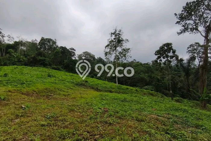 Lahan Dijual Lokasi Penebel, Tabanan dengan Luas Tanah 1000m2 dan Status SHM Lahan Dijual Lokasi Penebel, Tabanan dengan Luas Tanah 1000m2 dan Status SHM