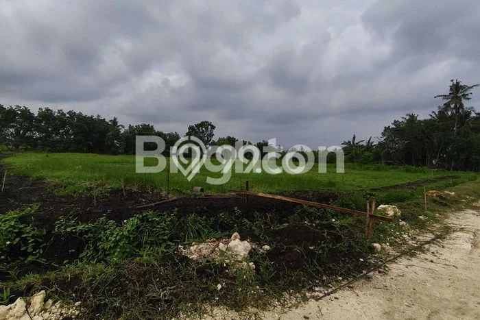 Tanah Investasi Dijual di Tabanan Punya Luas 500m2 Tanah Investasi Dijual di Tabanan Punya Luas 500m2