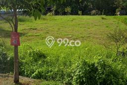 Disewakan Tanah di Badung, Luas 2100m2 Area Berkembang Disewakan Tanah di Badung, Luas 2100m2 Area Berkembang