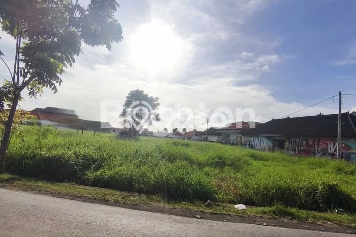 Kavling Tanah untuk Disewa di canggu Lahan Luas 5515m2 Kavling Tanah untuk Disewa di canggu Lahan Luas 5515m2