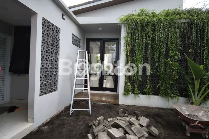 Sewa Rumah Murah di Dalung Badung dengan 2 Kamar Tidur Sewa Rumah Murah di Dalung Badung dengan 2 Kamar Tidur