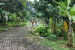Kavling Tanah di Ciracas Dijual Luas 6000m2 Legalitas SHM Kavling Tanah di Ciracas Dijual Luas 6000m2 Legalitas SHM