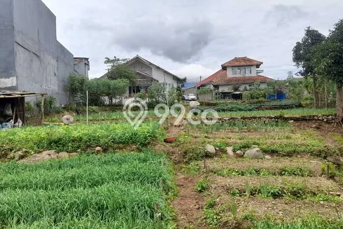 Kavling Tanah Dijual di Sukaresmi Cianjur Spesifikasi 1765m2 Kavling Tanah Dijual di Sukaresmi Cianjur Spesifikasi 1765m2