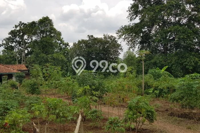 Tanah Kavling Dijual di Depok dengan Spesifikasi 31291m2 Tanah Kavling Dijual di Depok dengan Spesifikasi 31291m2