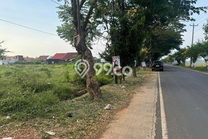 Tanah Dijual Lokasi Batang Batang SHM Tanah Dijual Lokasi Batang Batang SHM