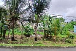 Untuk Dijual Tanah di Tabanan Tabanan Luas 195m2 SHM Untuk Dijual Tanah di Tabanan Tabanan Luas 195m2 SHM