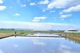 Kavling Tanah di Pakis Dijual Luas 4310m2 Legalitas SHM Kavling Tanah di Pakis Dijual Luas 4310m2 Legalitas SHM