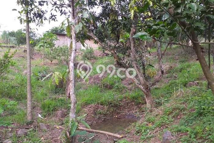 Tanah Kawasan Cikalongkulon, Luas 45355m², Area Strategis, Lingkungan Asri, Bebas Banjir Tanah Kawasan Cikalongkulon, Luas 45355m², Area Strategis, Lingkungan Asri, Bebas Banjir