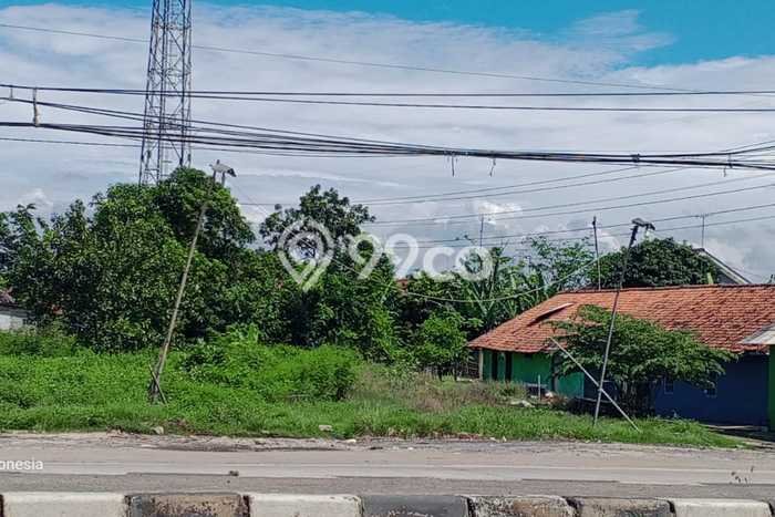 Untuk Dijual Tanah di Ciasem Subang Luas 1870m2 SHM Untuk Dijual Tanah di Ciasem Subang Luas 1870m2 SHM