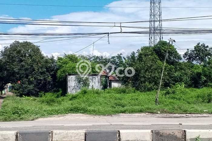 Untuk Dijual Tanah di Ciasem Subang Luas 1870m2 SHM Untuk Dijual Tanah di Ciasem Subang Luas 1870m2 SHM