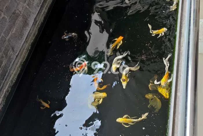 Hunian Nyaman Asri 3 KT Siap Pakai di Kopo Permai Bandung Hunian Nyaman Asri 3 KT Siap Pakai di Kopo Permai Bandung