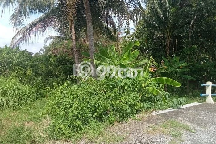 Kavling Tanah Dijual di Pengasih Kulon Progo Spesifikasi 3663m2 Kavling Tanah Dijual di Pengasih Kulon Progo Spesifikasi 3663m2