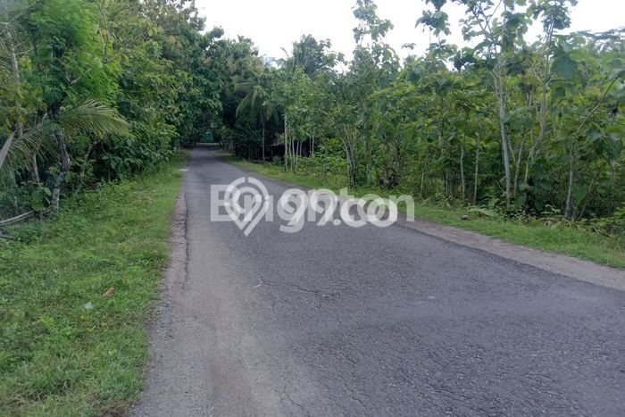 Tanah Dijual Lokasi Pajangan Bantul SHM Tanah Dijual Lokasi Pajangan Bantul SHM