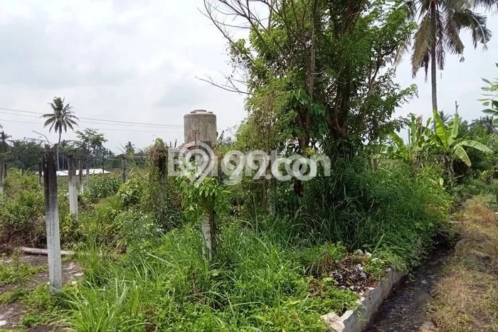Disewakan Tanah Lokasi Strategis di Pakem Sleman 1105m2 Disewakan Tanah Lokasi Strategis di Pakem Sleman 1105m2
