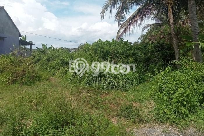 Kavling Tanah Dijual di Pengasih Kulon Progo Spesifikasi 3663m2 Kavling Tanah Dijual di Pengasih Kulon Progo Spesifikasi 3663m2