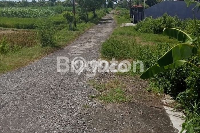 Kavling Tanah Dijual di Pengasih Kulon Progo Spesifikasi 3663m2 Kavling Tanah Dijual di Pengasih Kulon Progo Spesifikasi 3663m2