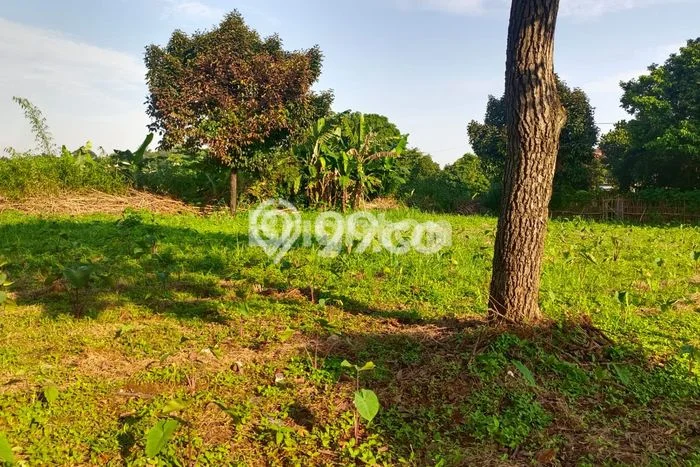 Tanah Dijual di Bogor Seluas 927m2 Strategis Tanah Dijual di Bogor Seluas 927m2 Strategis