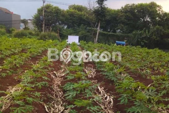 Tanah Kavling Dijual di Bogor dengan Spesifikasi 3942m2 Tanah Kavling Dijual di Bogor dengan Spesifikasi 3942m2