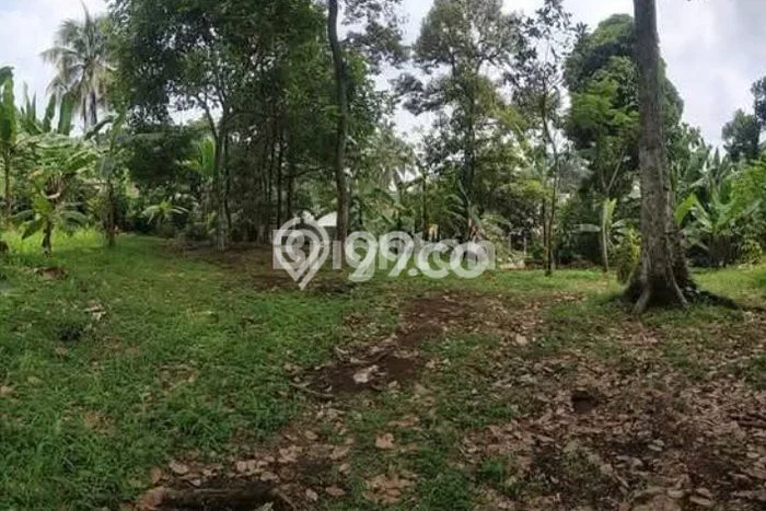Tanah Komersial Dijual di Cijeruk Bogor 1080m2 Tanah Komersial Dijual di Cijeruk Bogor 1080m2