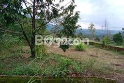 Tanah Komersial Dijual di Tanjungsari Bogor 100m2 Tanah Komersial Dijual di Tanjungsari Bogor 100m2