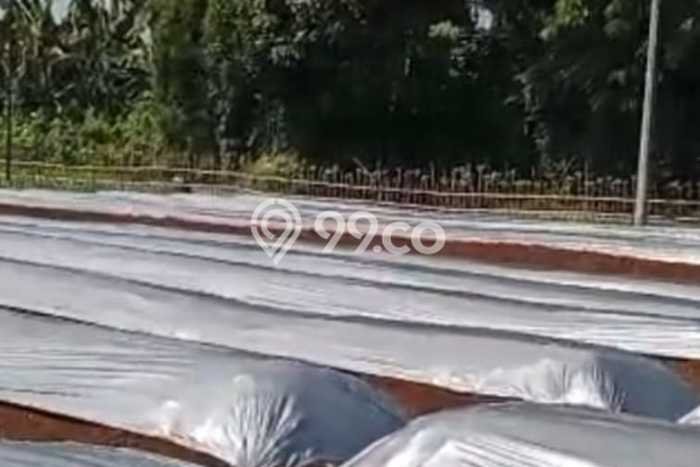 Tanah Dijual Lokasi Ranca Bungur, Bogor Luas 3065m2 Legalitas Aman Tanah Dijual Lokasi Ranca Bungur, Bogor Luas 3065m2 Legalitas Aman