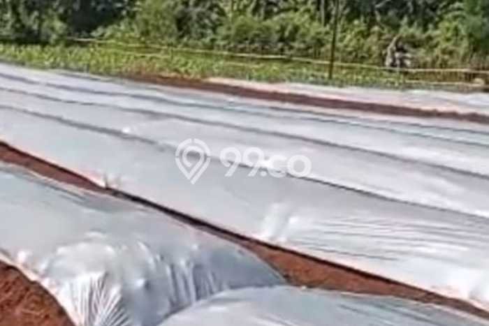 Tanah Dijual Lokasi Ranca Bungur, Bogor Luas 3065m2 Legalitas Aman Tanah Dijual Lokasi Ranca Bungur, Bogor Luas 3065m2 Legalitas Aman