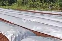 Tanah Dijual Lokasi Ranca Bungur, Bogor Luas 3065m2 Legalitas Aman Tanah Dijual Lokasi Ranca Bungur, Bogor Luas 3065m2 Legalitas Aman