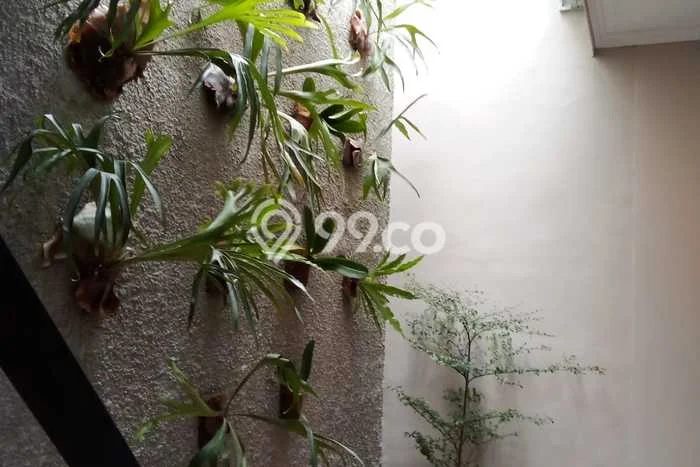 Dijual Rumah 3 Kamar Lokasi Strategis Nyaman dan Strategis di Pamulang Dijual Rumah 3 Kamar Lokasi Strategis Nyaman dan Strategis di Pamulang