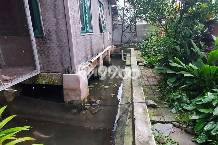 Dijual Rumah 2 Kamar Lokasi Ideal Nyaman dan Strategis di Ciomas Dijual Rumah 2 Kamar Lokasi Ideal Nyaman dan Strategis di Ciomas