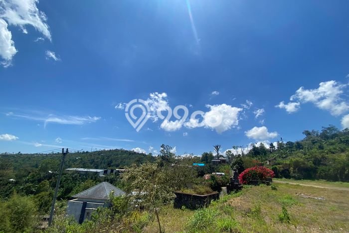 Tanah Kavling Dijual di Bedugul, Tabanan dengan Luas Tanah 64000m2 Tanah Kavling Dijual di Bedugul, Tabanan dengan Luas Tanah 64000m2