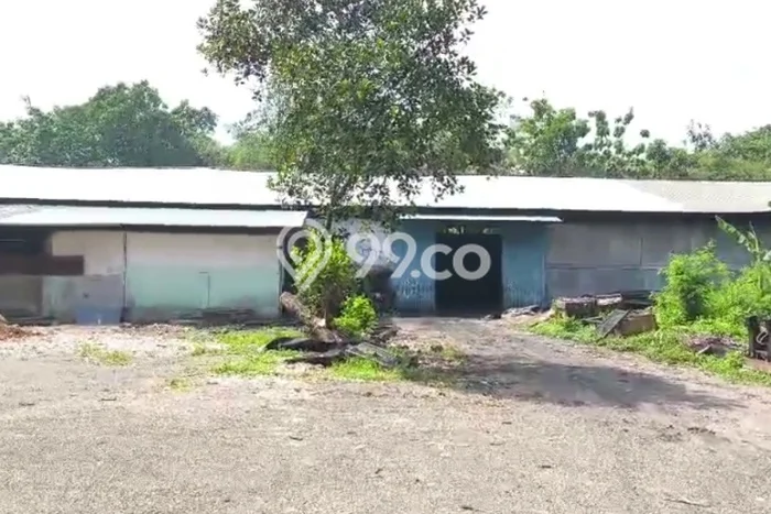 Disewakan Gudang Strategis di Citeureup, Luas 1960m², Pusat Bisnis Disewakan Gudang Strategis di Citeureup, Luas 1960m², Pusat Bisnis