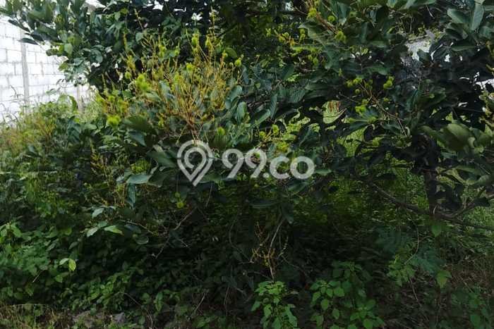 Kavling Tanah Dijual di Karawang Timur Karawang Spesifikasi 576m2 Kavling Tanah Dijual di Karawang Timur Karawang Spesifikasi 576m2
