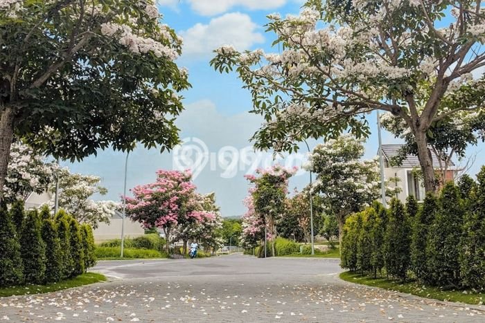 Dijual Rumah Strategis Bagus Punya 3 KT di Gamping Sleman SHM Dijual Rumah Strategis Bagus Punya 3 KT di Gamping Sleman SHM