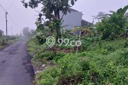 Tanah Kavling untuk Dijual di Kalasan Sleman 813m2 Tanah Kavling untuk Dijual di Kalasan Sleman 813m2