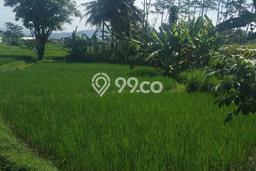 Tanah Dijual Lokasi Strategis di Purworejo dengan Luas 775m2 Tanah Dijual Lokasi Strategis di Purworejo dengan Luas 775m2
