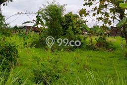 Kavling Tanah Dijual di Bantul Bantul Spesifikasi 395m2 Kavling Tanah Dijual di Bantul Bantul Spesifikasi 395m2
